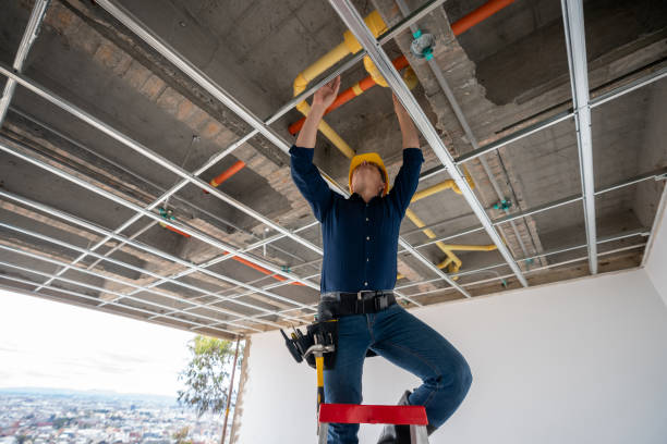 Best Local Plumber Services  in Collinsville, AL